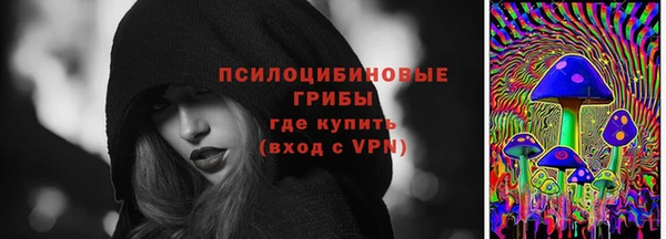 дживик Богородск