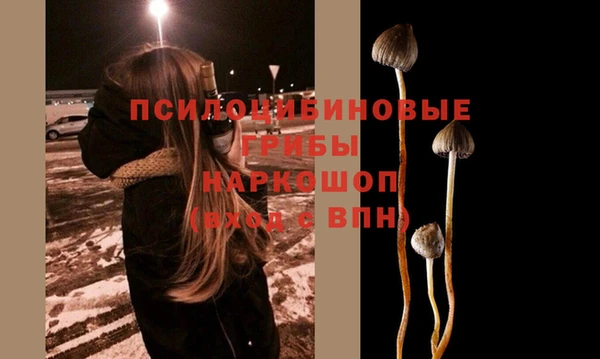 кокаин перу Богданович