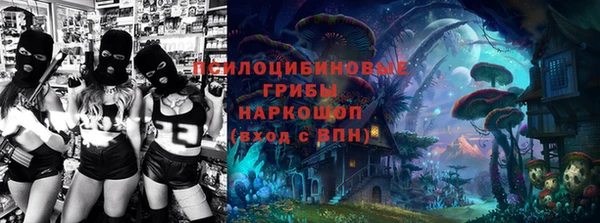 эйфоретик Богородицк