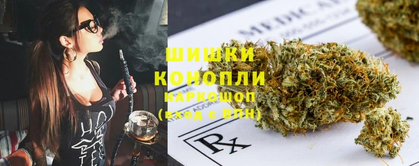 дживик Богородск