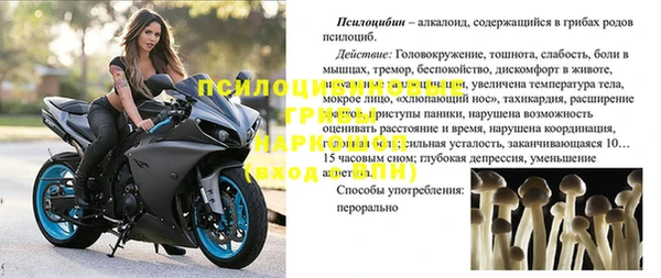 кокаин перу Богданович